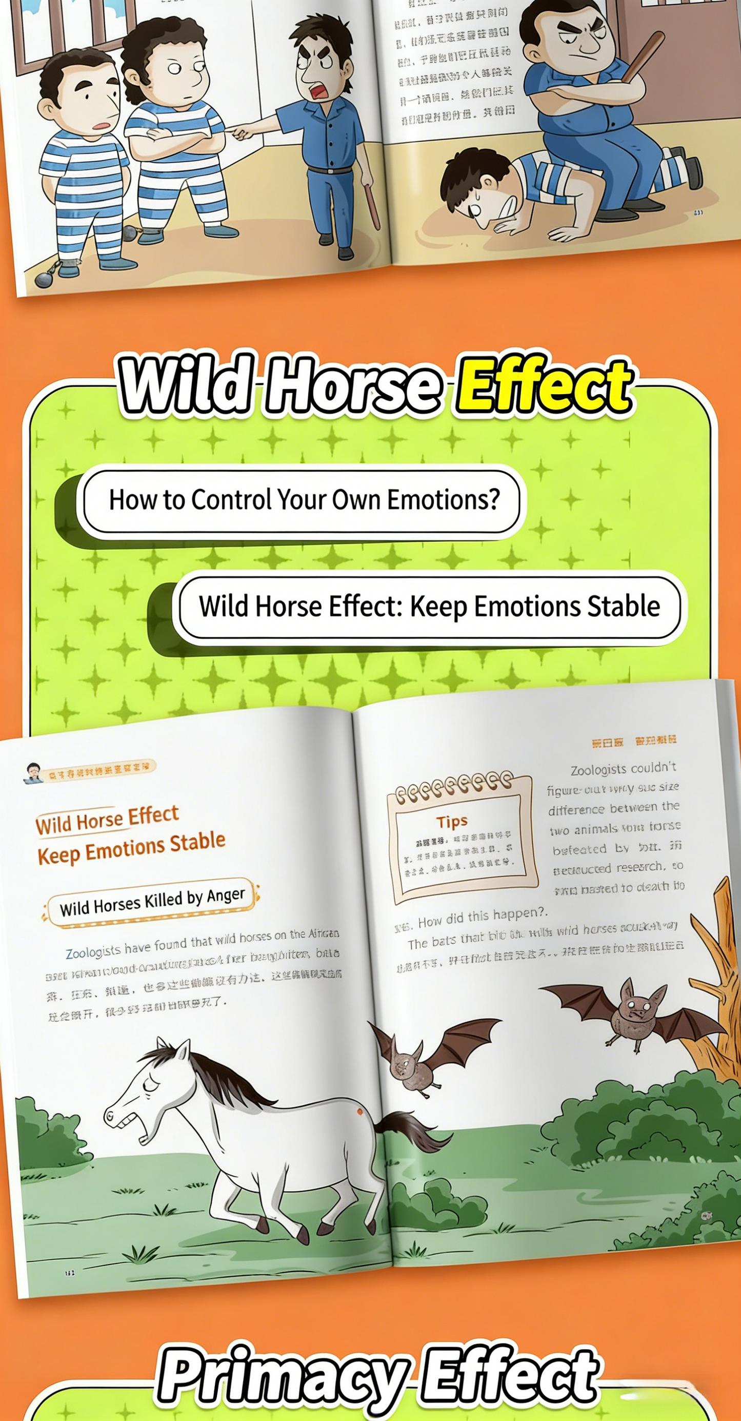 【TIKBOOKS】Murphy’s Law life principles for children：A comprehensive guide tobenefit a lifetime